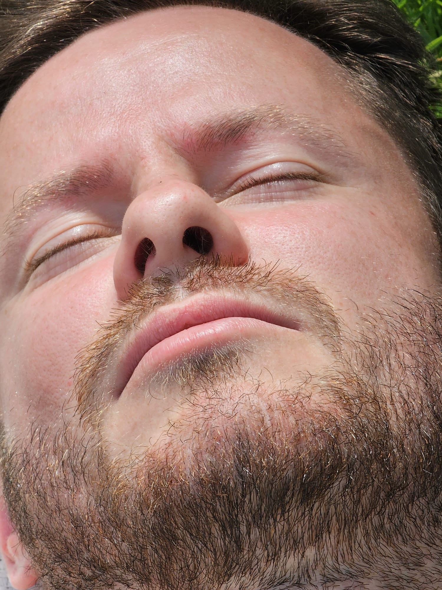 ein Bild, toll